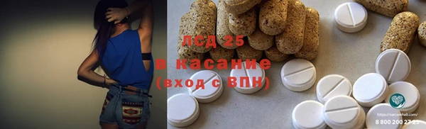 сатива Лабытнанги