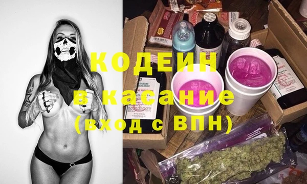сатива Лабытнанги
