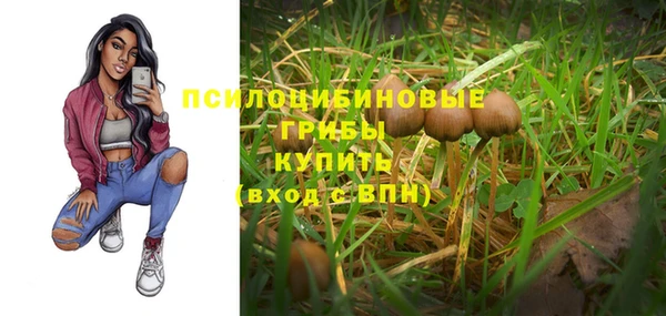 ешки Ладушкин