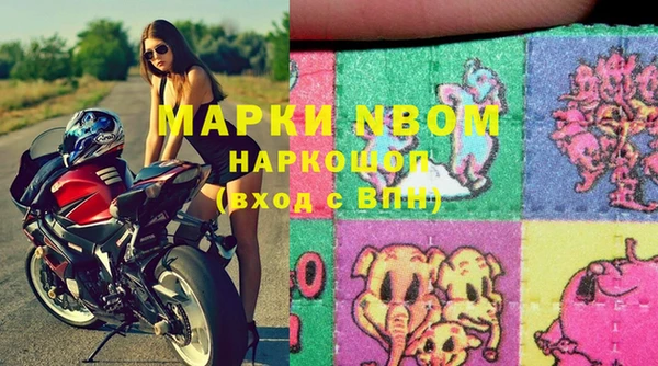 сатива Лабытнанги