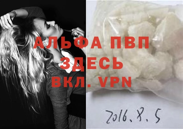 сатива Лабытнанги