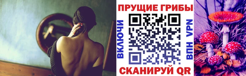 даркнет сайт  Сорск  Псилоцибиновые грибы ЛСД 